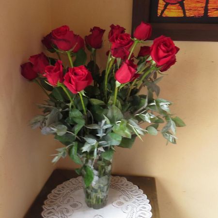 El Pedregal Sopo Bed and Breakfast Buitenkant foto