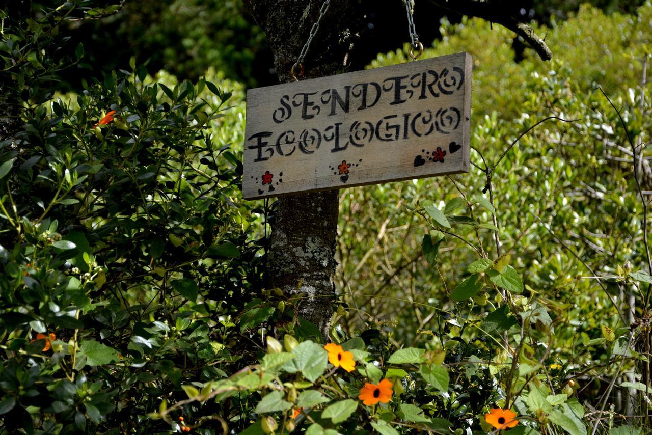 El Pedregal Sopo Bed and Breakfast Buitenkant foto